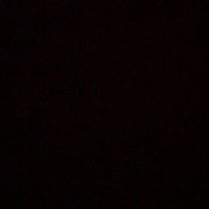 Meet your Posher, Madeleine